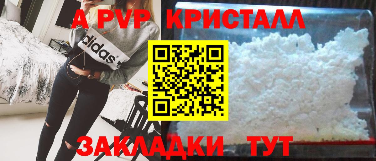 A PVP СК Луга