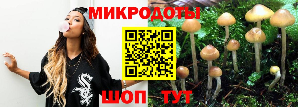 Галлюциногенные грибы ЛСД Луга