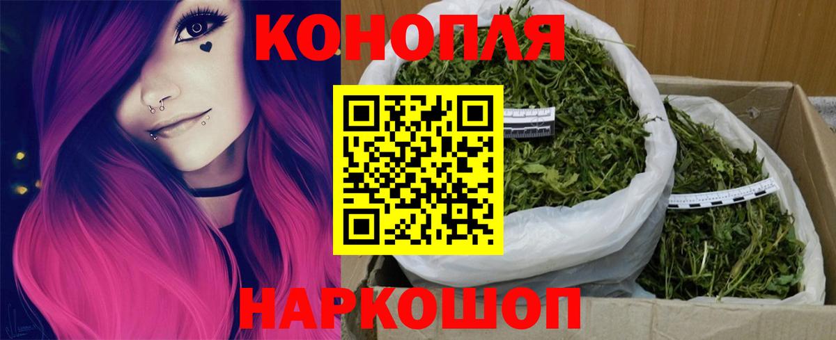 Конопля Bruce Banner Луга